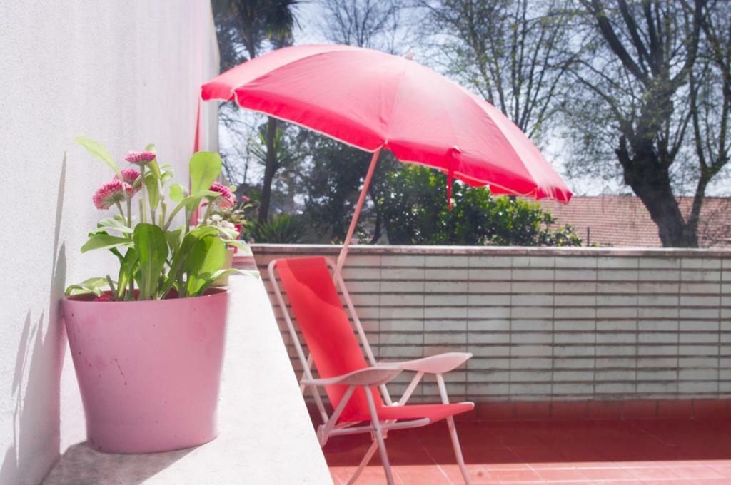 Terrace Porto Downtown Apartment Ngoại thất bức ảnh